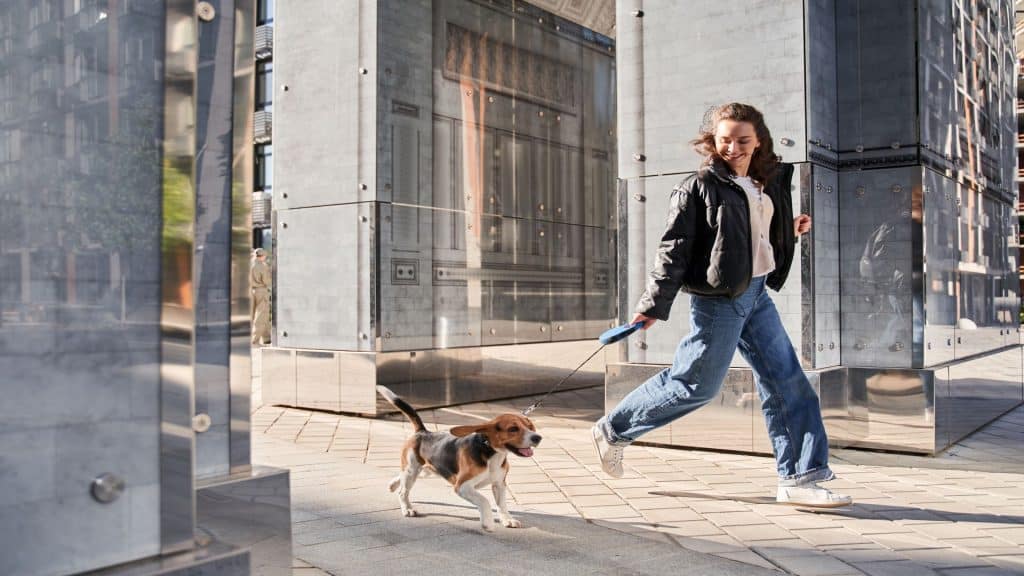 
Foto em tamanho real de uma mulher ativa e amigável correndo com seu adorável beagle malhado enquanto aproveitam o bom tempo e passam um ótimo momento juntos em um lugar urbano.