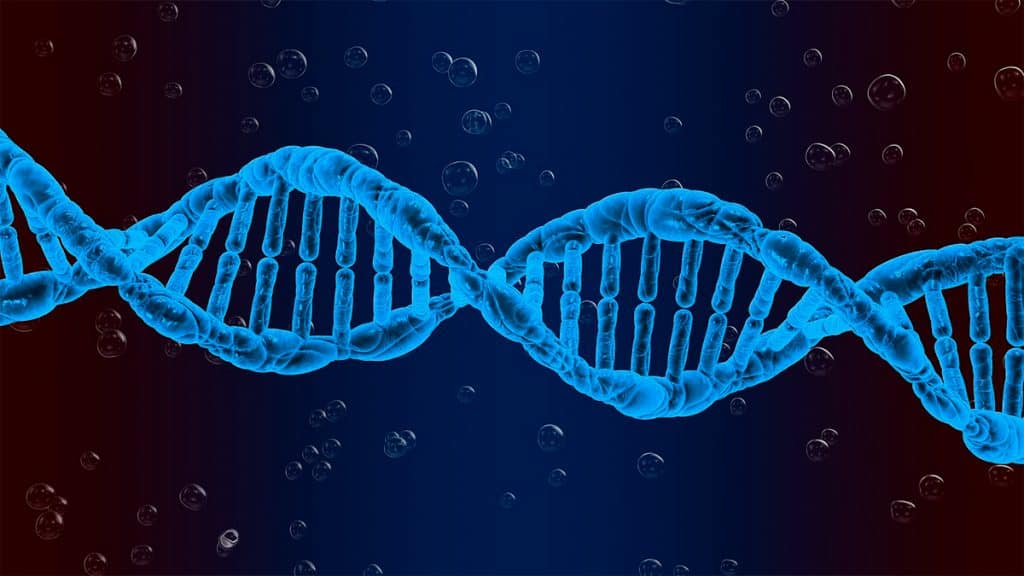 Ilustração digital de fitas de DNA