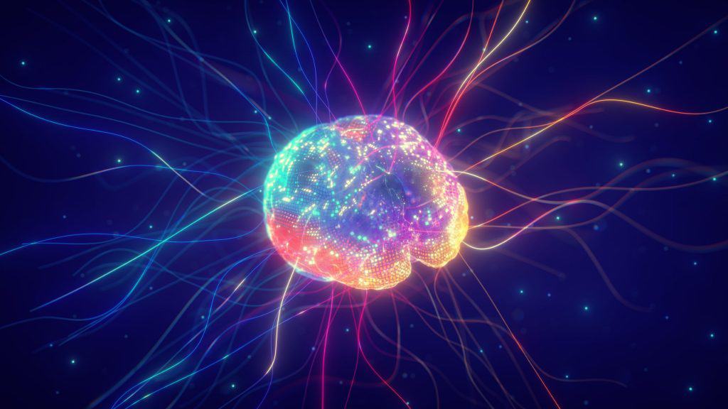 Imagem do cérebro representando conceito de neuroplasticidade