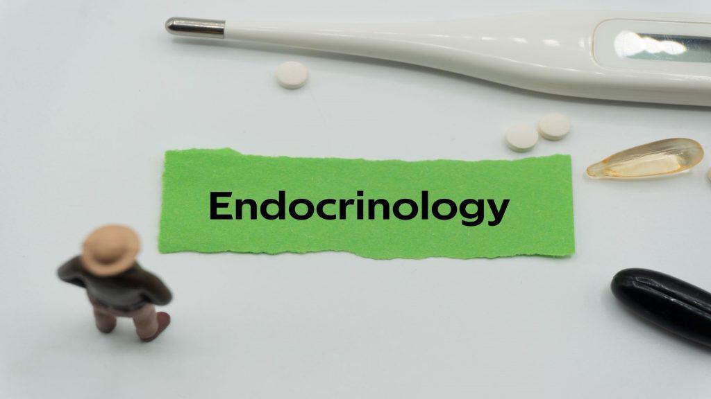 Endocrinologia. A palavra está escrita em um pedaço de papel colorido. termos de saúde, palavras de cuidados de saúde, terminologia médica. Palavras-chave de bem-estar. siglas de doenças/Shutterstock/Foto evan_huang

