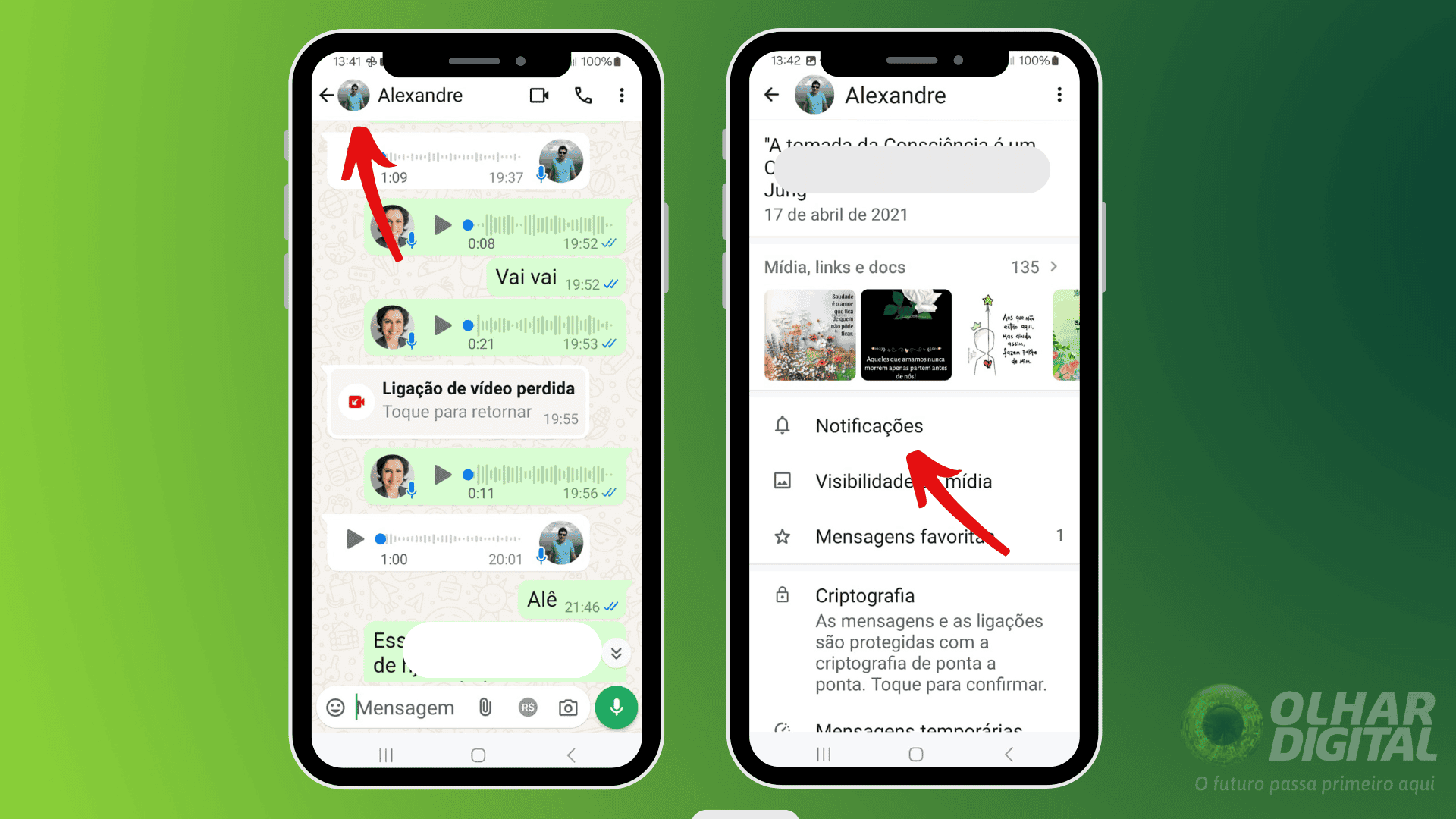 Captura de tela para tutorial de como silenciar contato no Whatsapp