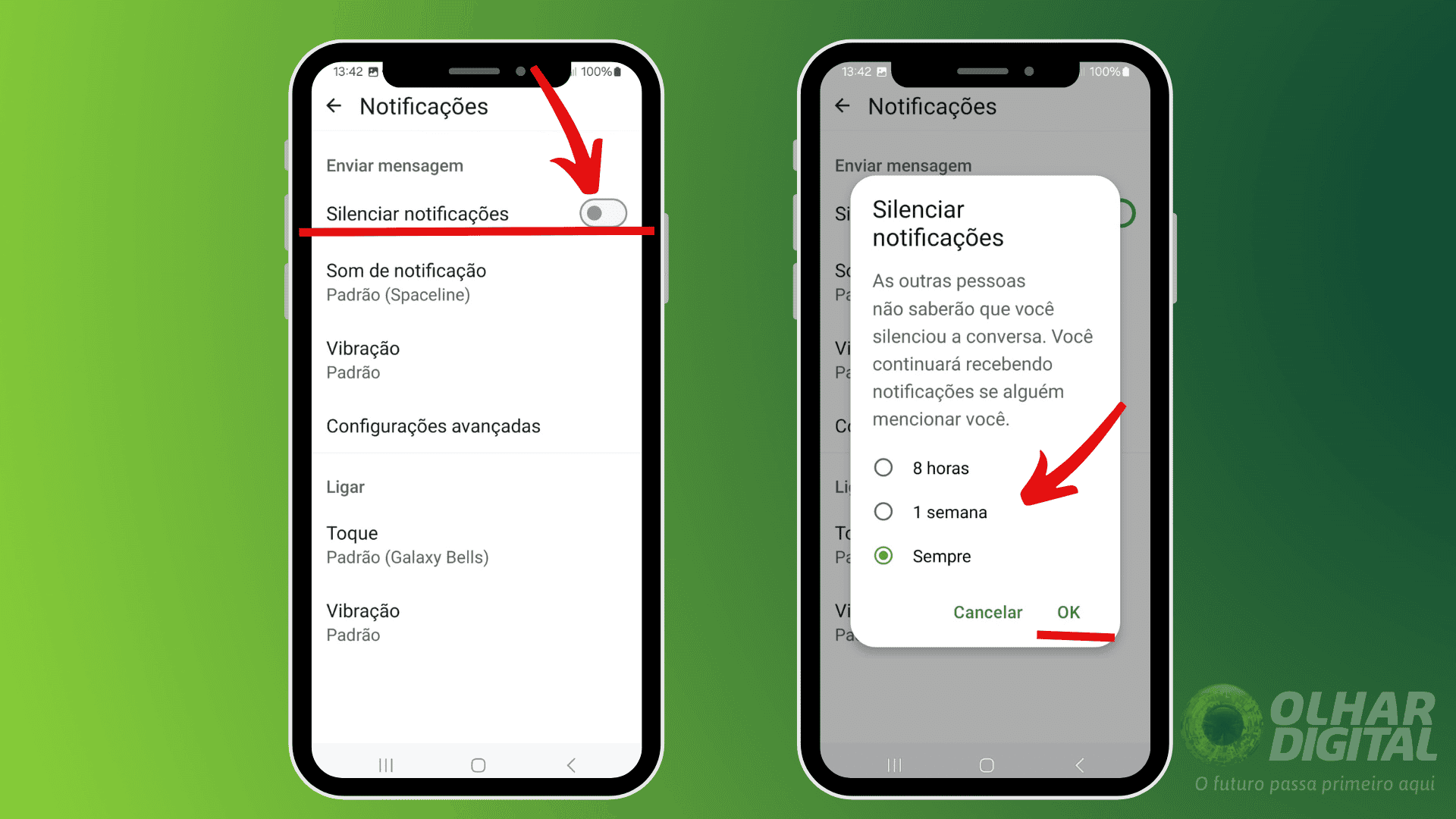 Captura de tela para tutorial de como silenciar contato no Whatsapp
