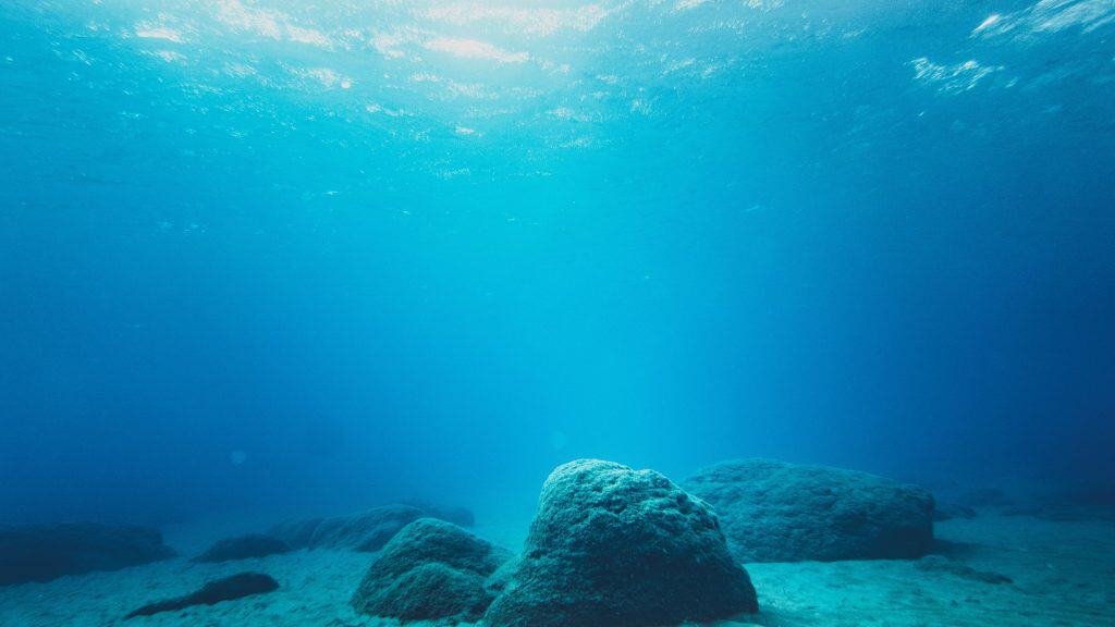 a imagem mostra várias pedras e algas no fundo do oceano