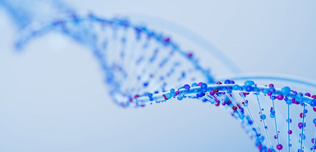 dna