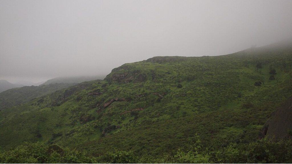Garúa nas Lomas de Lachay,